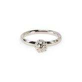 King Protea Pod inspired ring manufactured in sterling silver